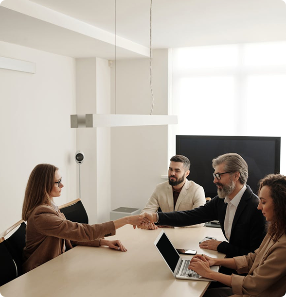Business professionals meeting in an office