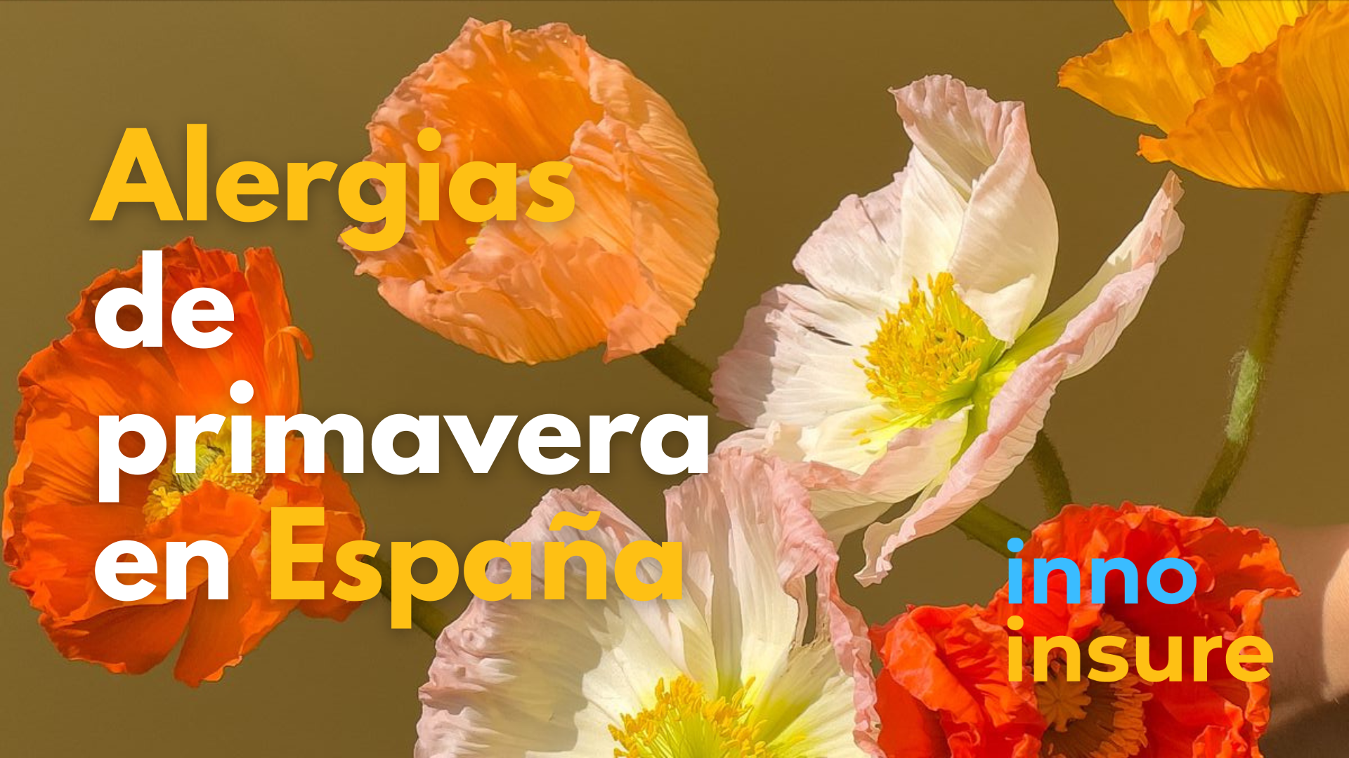 Alergias de primavera en España: guía para expatriados