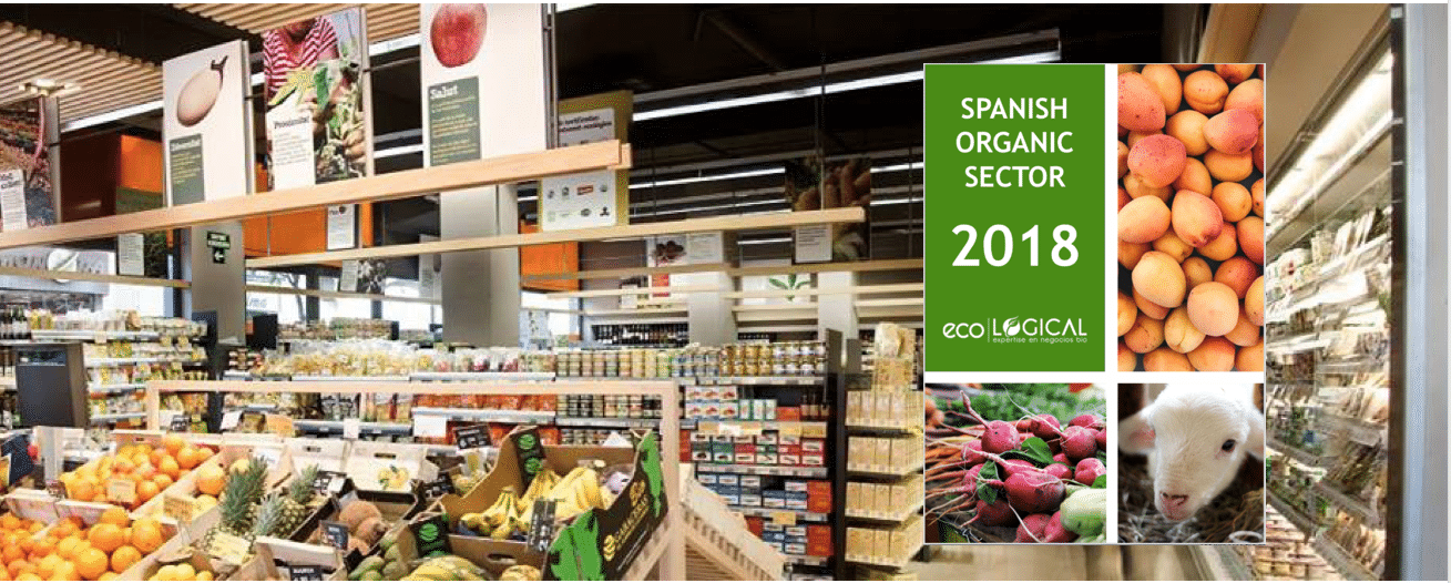Guide to grocery shopping in Spain – markets, specialty stores, and online grocery shopping