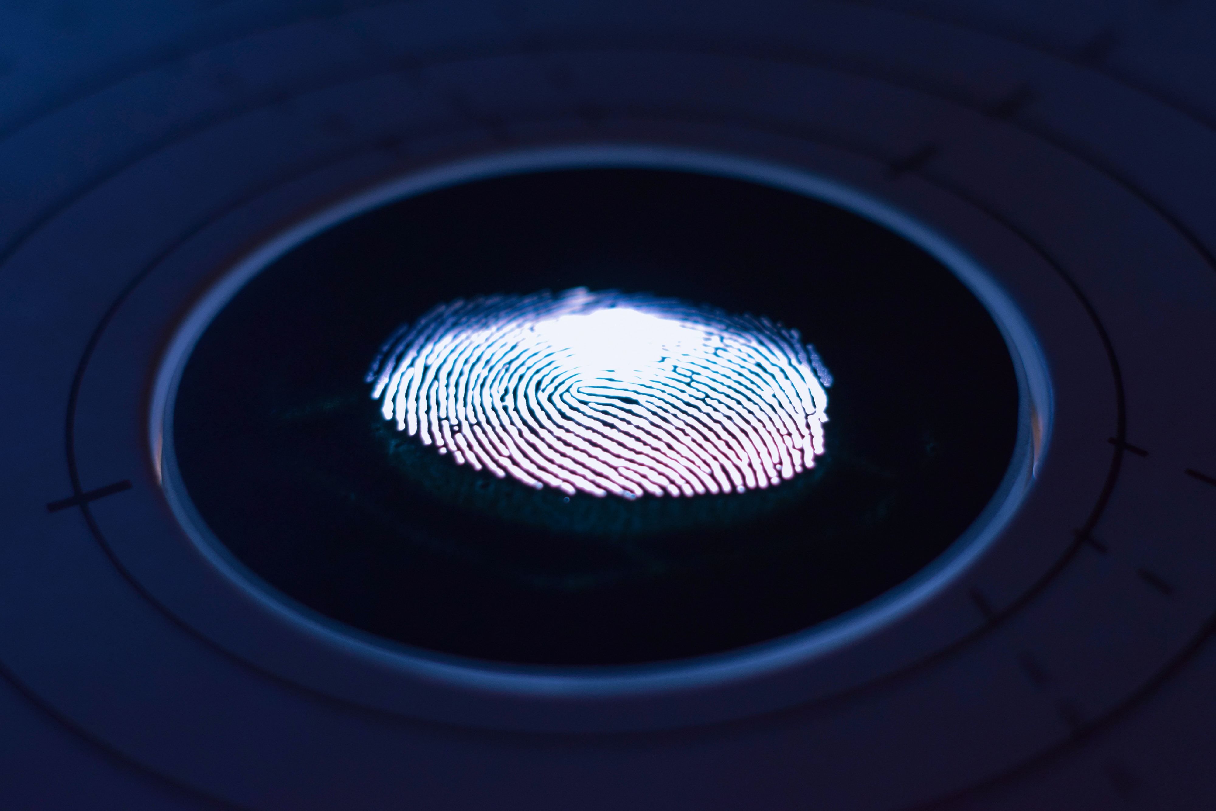 Fingerprint for TIE renewal
