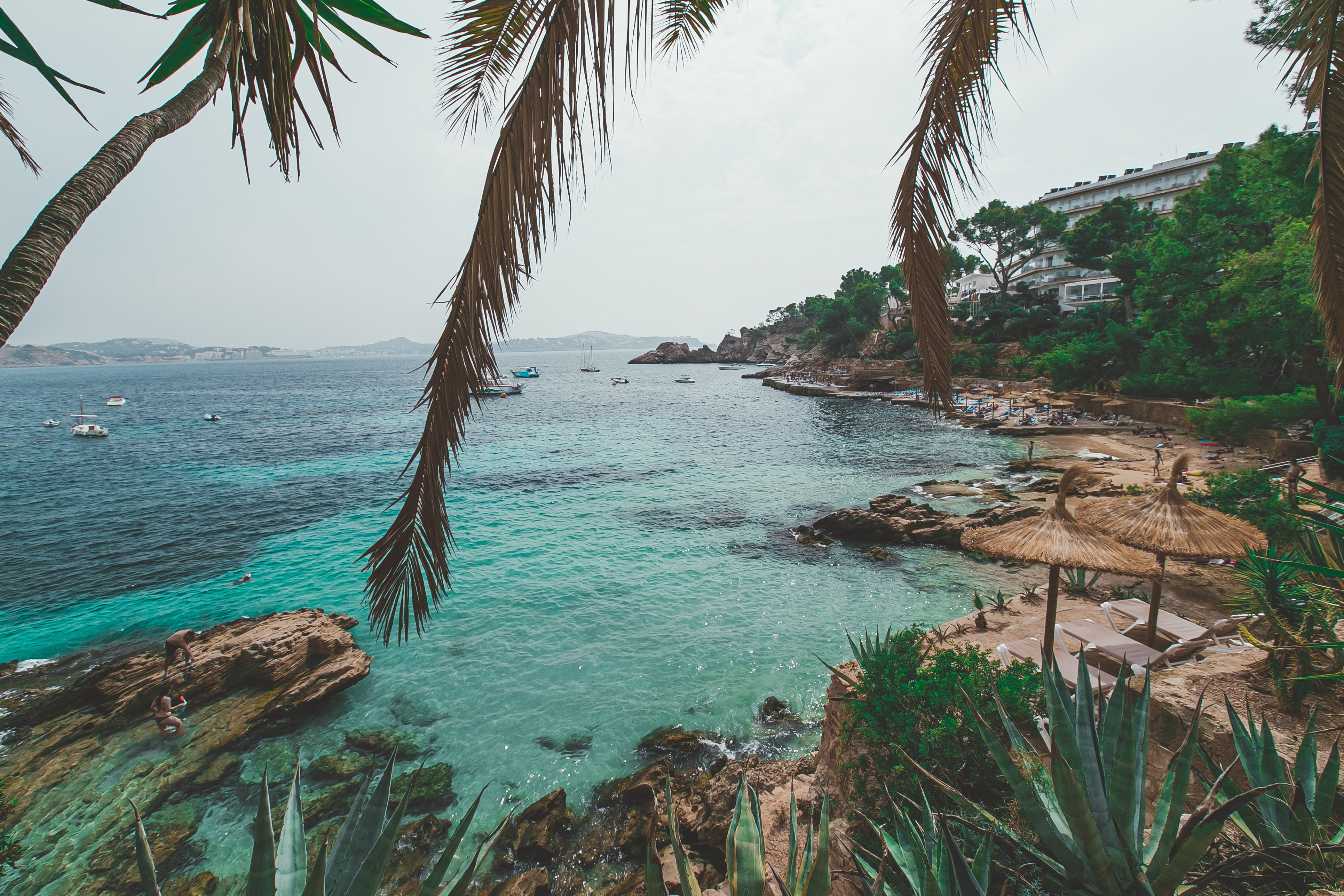 The beautiful beach of mallorca