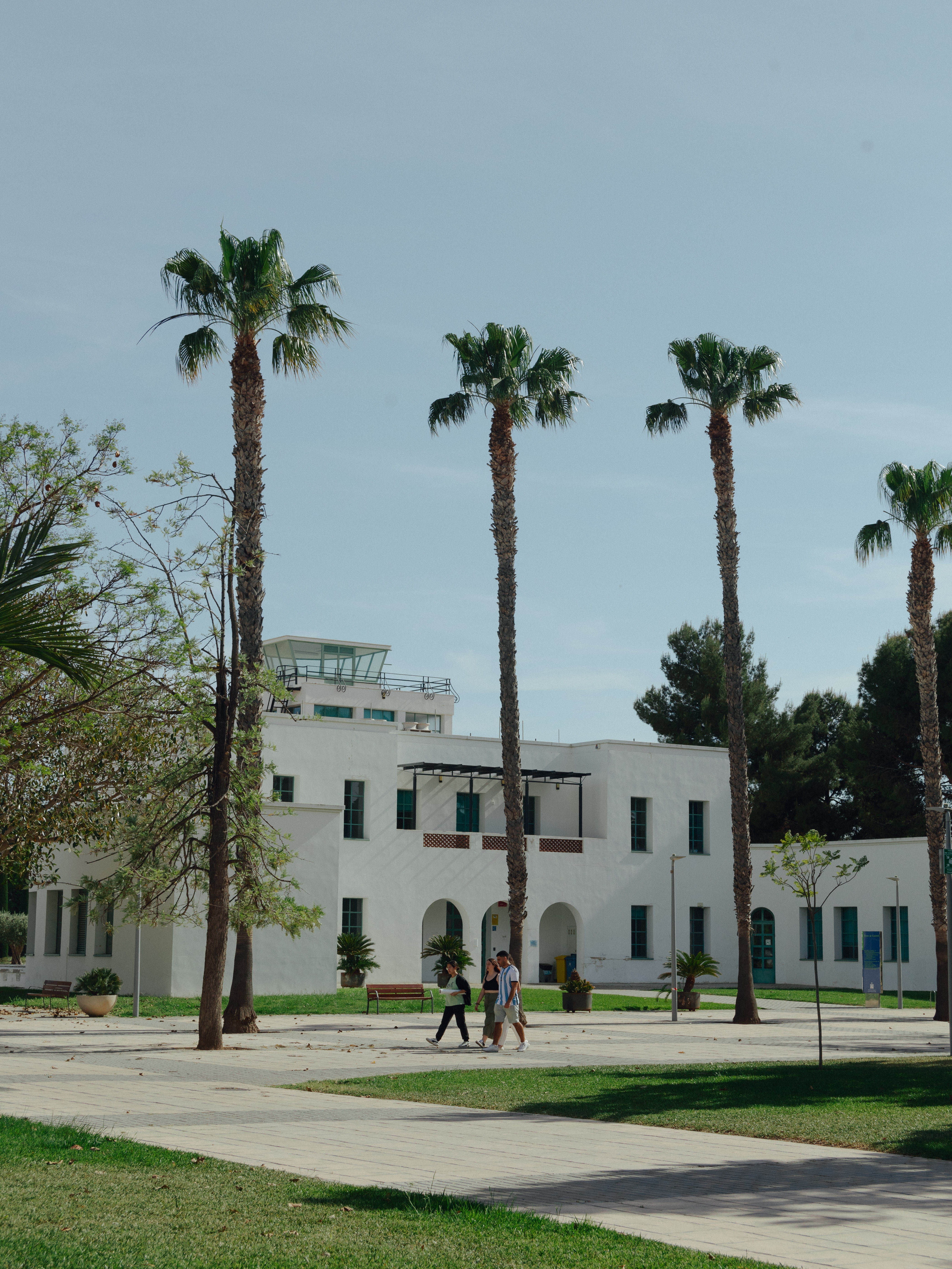 The beautiful university of Alicante